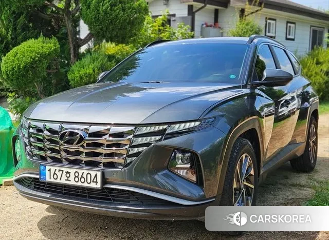 Hyundai Tucson (NX4) 2021 Серый из Кореи