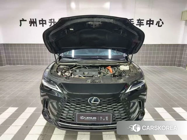 Lexus RX PHEV 2023 Черный из Китая
