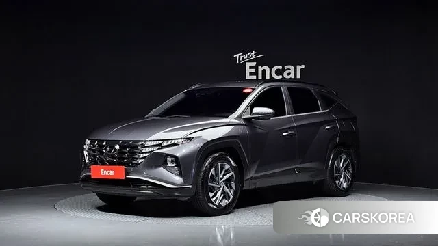 Hyundai Tucson (NX4) 2021 Серый из Кореи