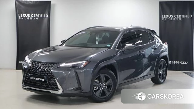 Lexus UX300h 2025 Серый из Кореи