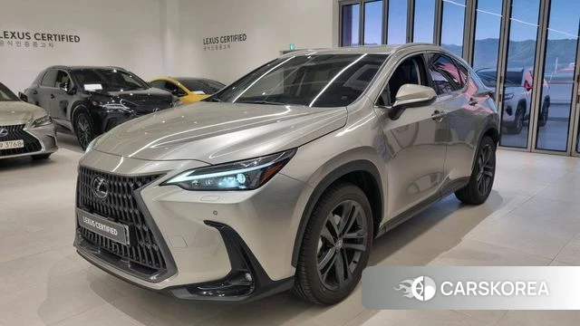 Lexus NX350h Second generation 2025 Песочный из Кореи