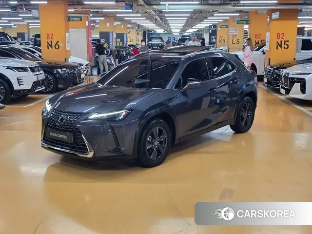 Lexus UX300h 2024 Серый из Кореи