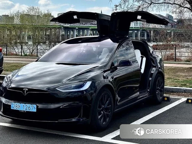 Tesla Model X 2024 Черный из Кореи