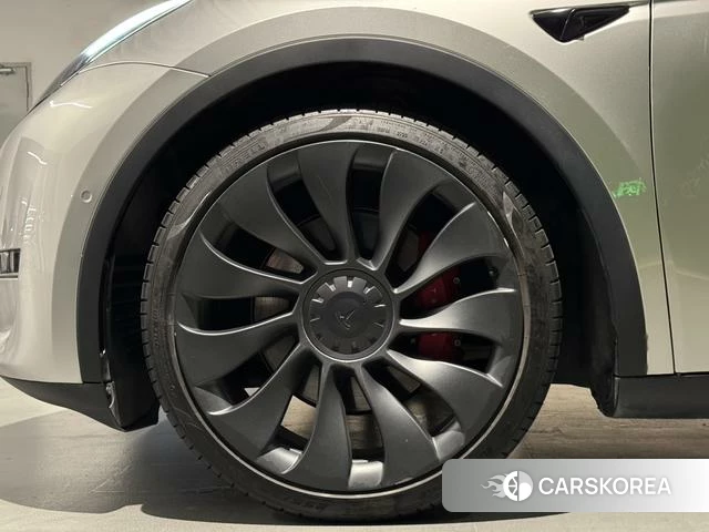 Tesla Model Y 2024 Шампань из Китая