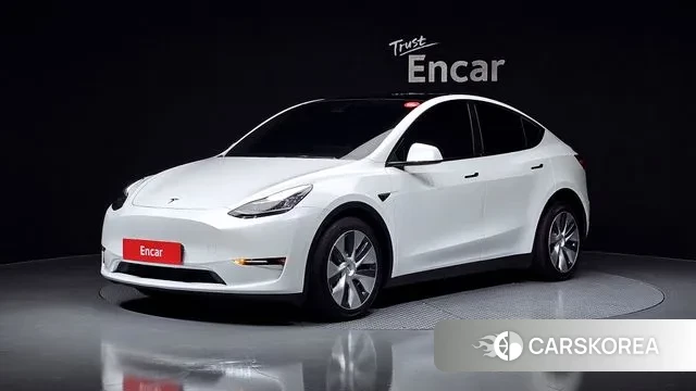 Tesla Model Y 2021 Белый из Кореи