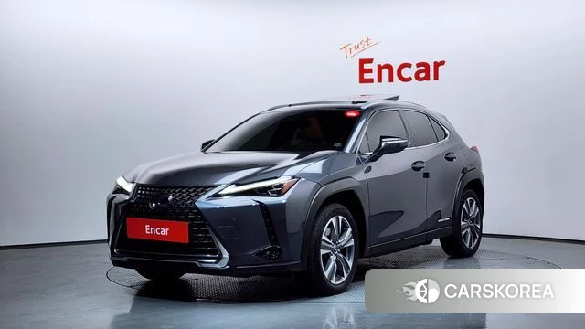 Lexus UX300e 2022 Серый из Кореи