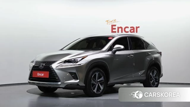 Lexus NX300h 2019 Цвет тростника из Кореи
