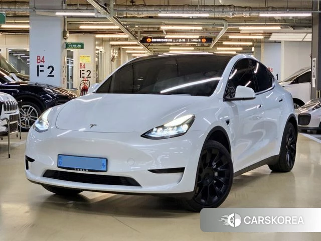 Tesla Model Y 2023 Белый из Кореи