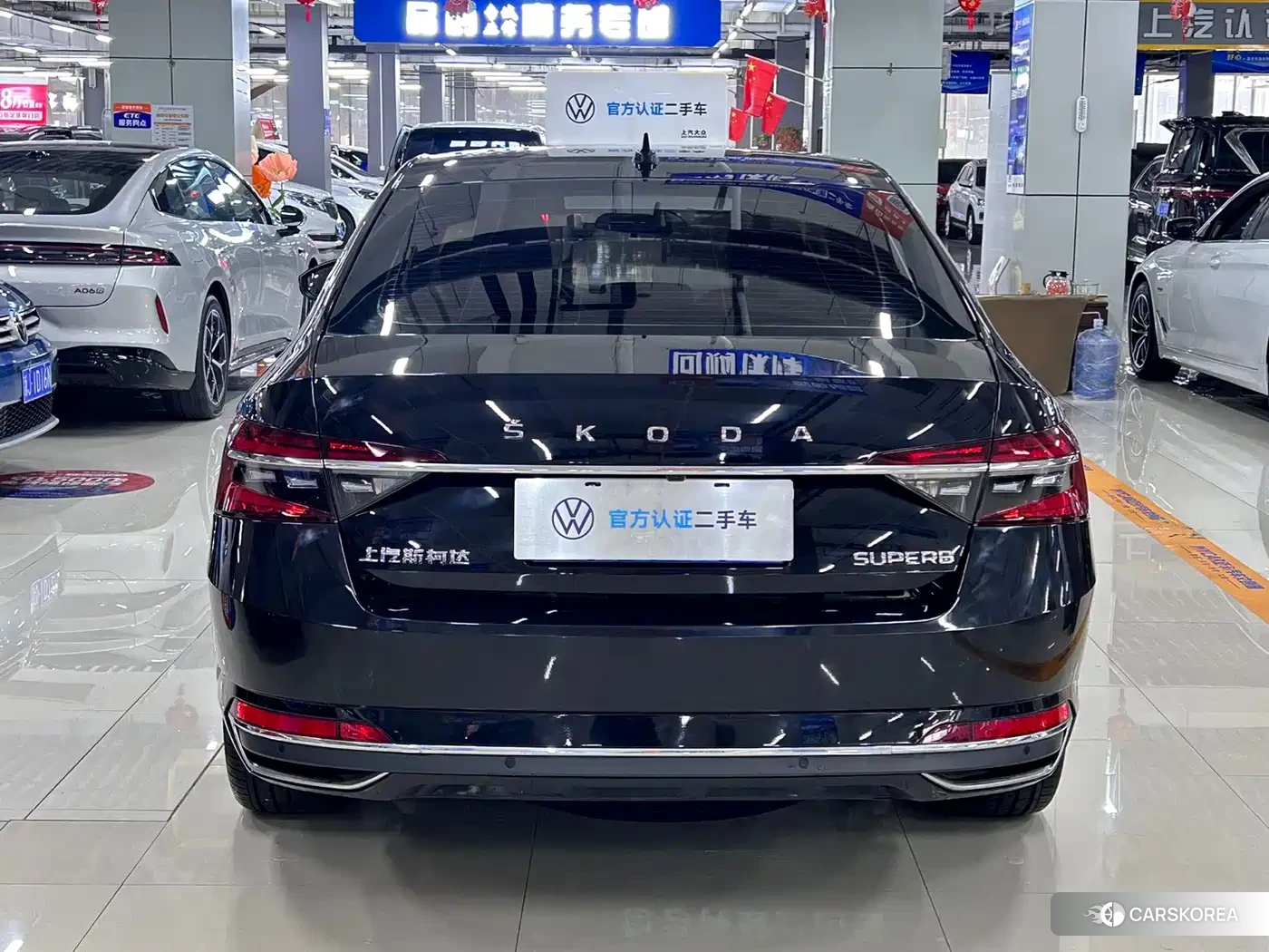 Skoda Speed pie 2024 Черный из Китая