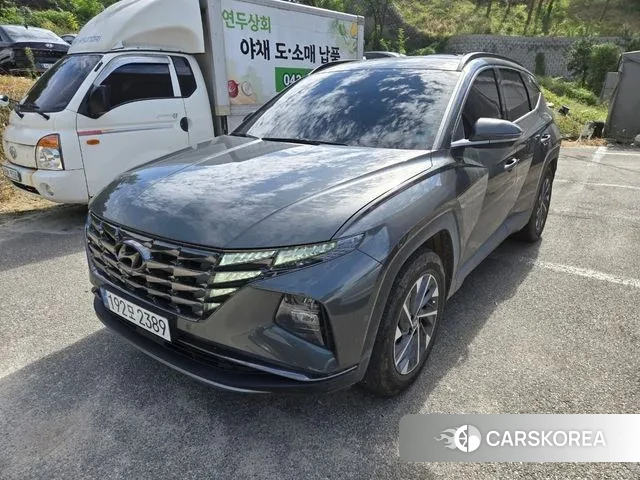 Hyundai Tucson Hybrid (NX4) 2021 Серый из Кореи