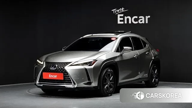 Lexus UX250h 2019 Серебристо-серый из Кореи