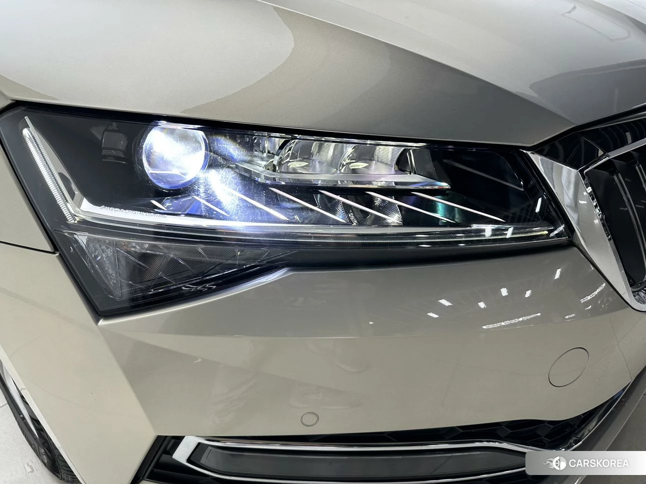 Skoda Speed pie 2019 Шампань из Китая
