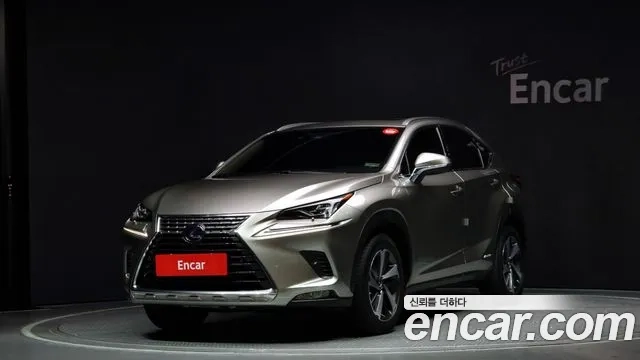 Lexus NX300h 2018 Серебристо-серый из Кореи