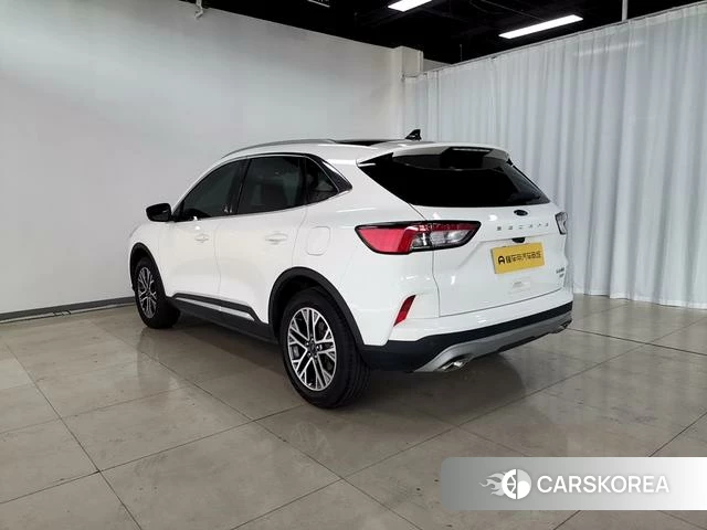 Ford Ruiji 2023 Белый из Китая