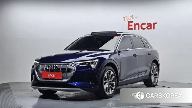 Audi e-Tron 2021 Синий из Кореи