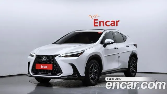 Lexus NX450h + 2nd generation 2023 Белый из Кореи