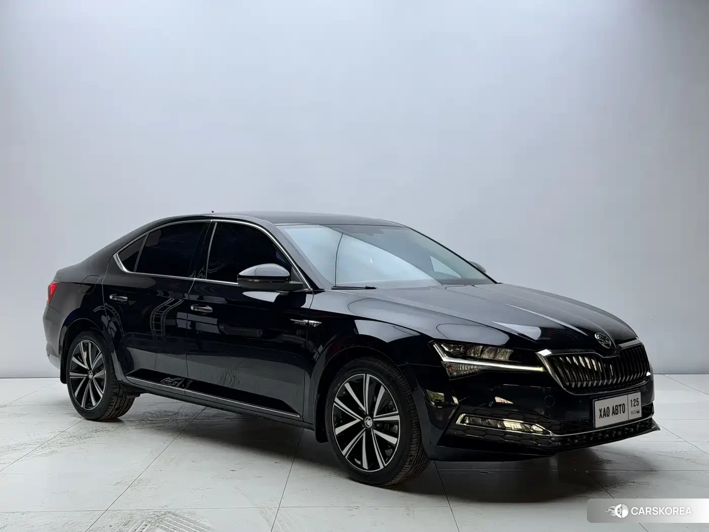 Skoda Speed pie 2023 Черный из Китая