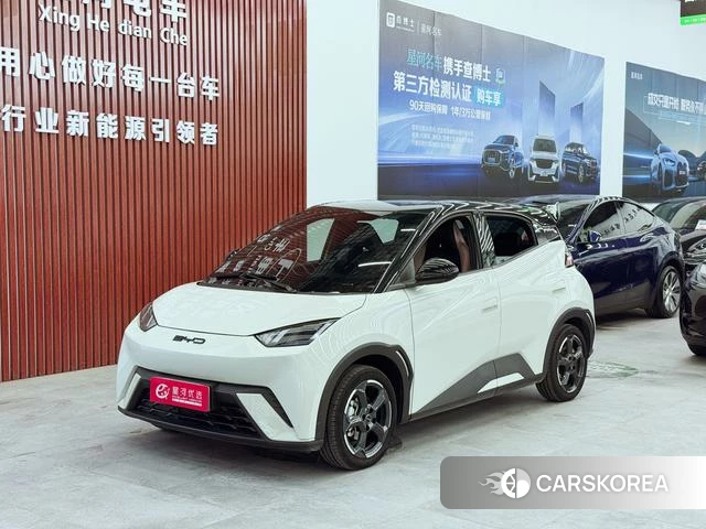 BYD Seagull 2024 Другой из Китая