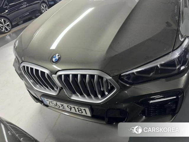BMW X6 (G06) 2021 Цвет тростника из Кореи