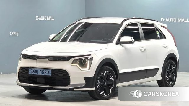 Kia Di All New Niro EV 2022 Белый из Кореи