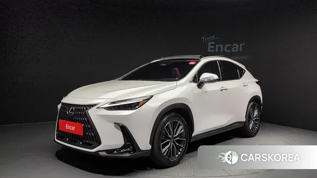 Lexus NX350h Second generation 2024 Белый из Кореи