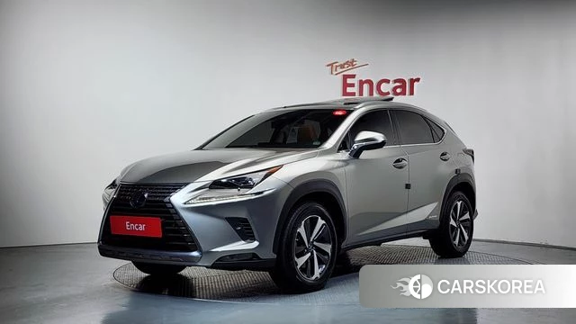 Lexus NX300h 2019 Серебряный из Кореи