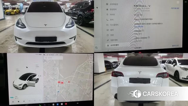 Tesla Model Y 2021 Белый из Кореи