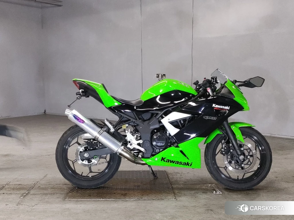 Проданный Kawasaki NINJA 250SL 2015 из Японии