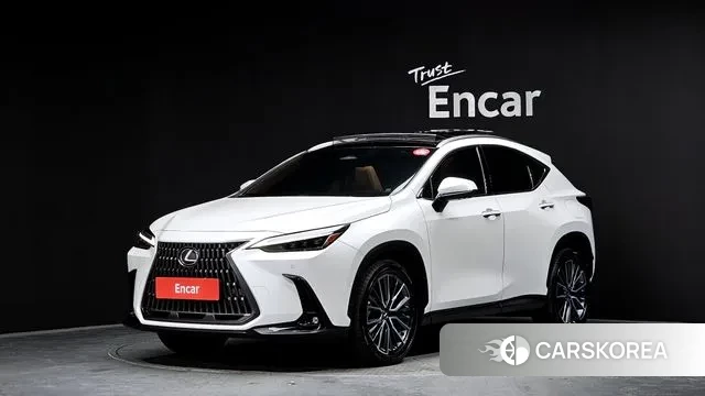 Lexus NX350h Second generation 2023 Белый из Кореи