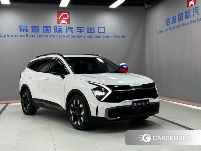 Kia Lion Platinum expands the world 2023 Белый из Китая