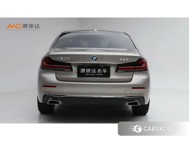 BMW 5 series 2023 Шампань из Китая