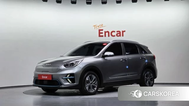 Kia Niro EV 2021 Серый из Кореи