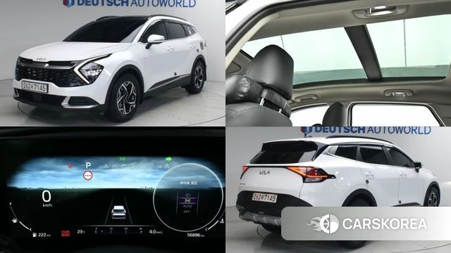 Kia Sportage 5th Generation 2022 Белый из Кореи