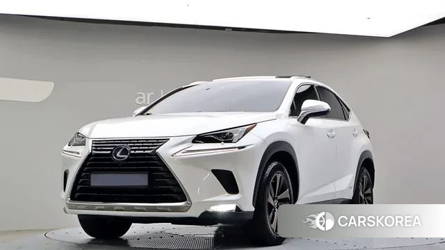 Lexus NX300h 2019 Белый из Кореи
