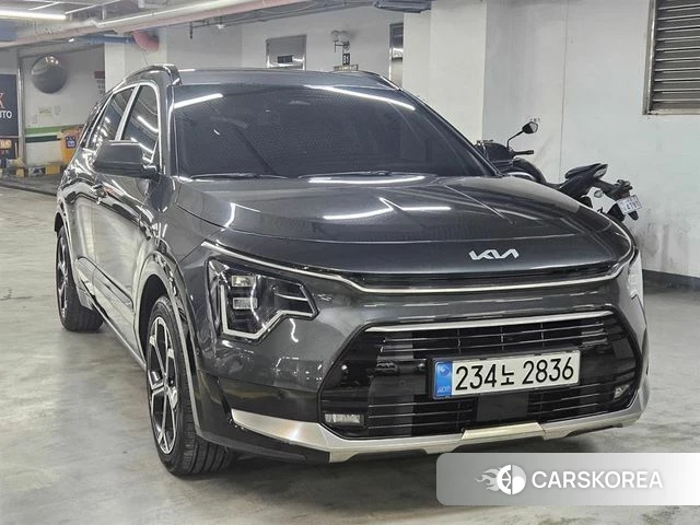 Kia Di Ol Nu Niro 2024 Серый из Кореи