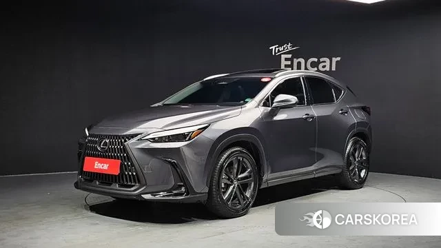 Lexus NX350h Second generation 2024 Серый из Кореи