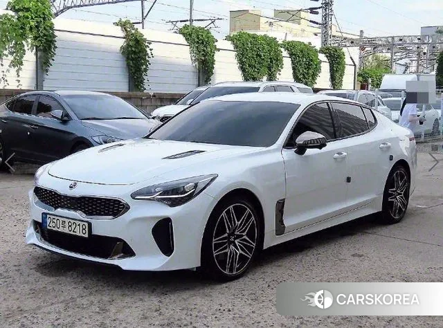 Kia Stinger Meister 2021 Белый из Кореи