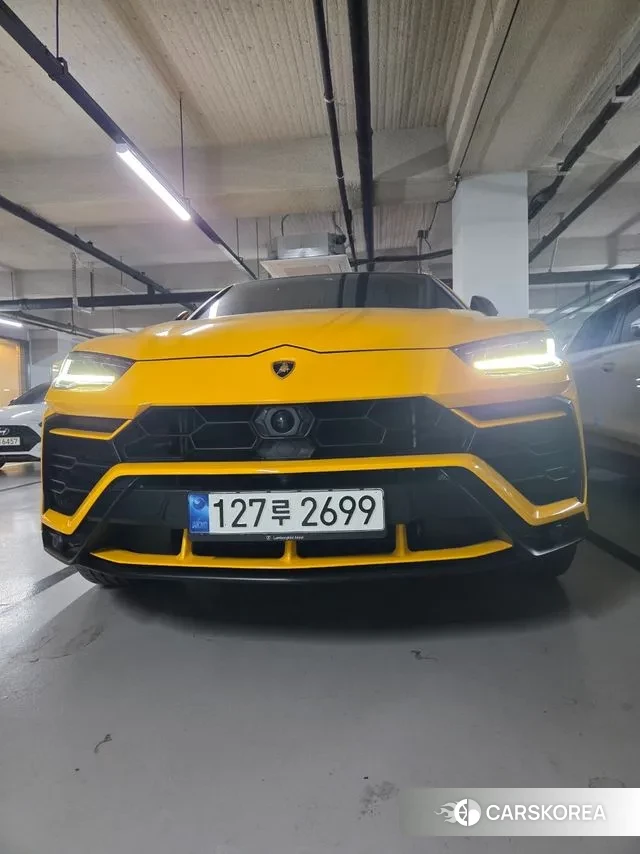 Lamborghini Urus 2021 Белый из Кореи