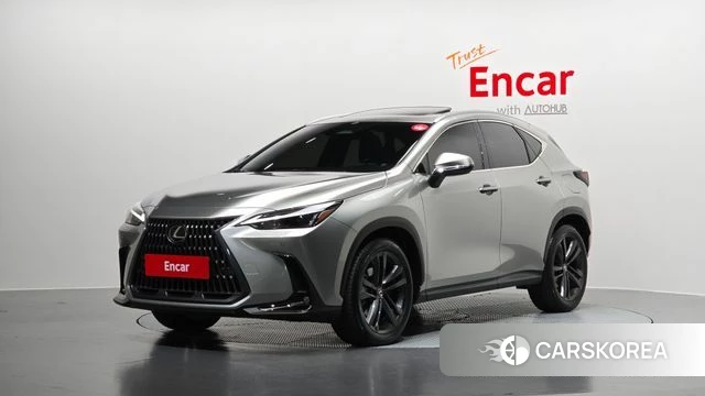 Lexus NX350h Second generation 2024 Серебристо-серый из Кореи