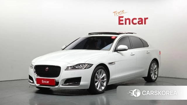 Jaguar XF (X260) 2019 Белый из Кореи