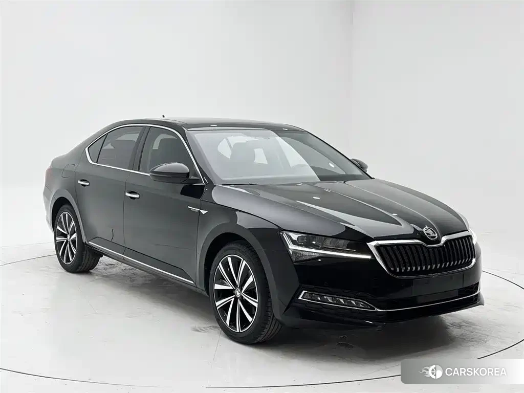 Skoda Speed pie 2023 Черный из Китая