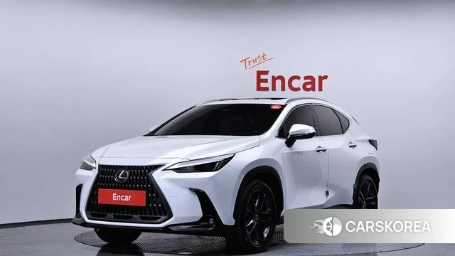 Lexus NX350h Second generation 2024 Белый из Кореи