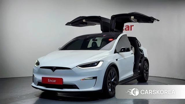 Tesla Model X 2023 Белый из Кореи