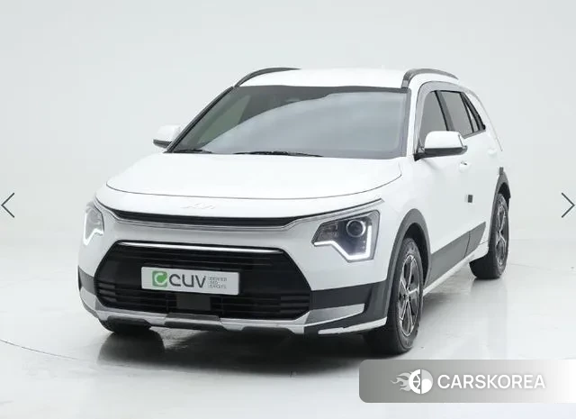 Kia Di Ol Nu Niro 2024 Белый из Кореи