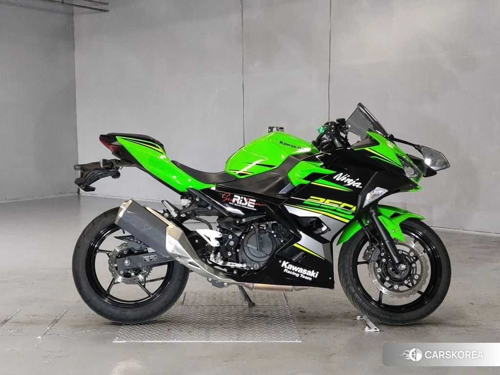 Проданный Kawasaki NINJA 250 2018 из Японии