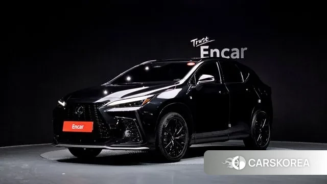 Lexus NX450h + 2nd generation 2022 Серый из Кореи
