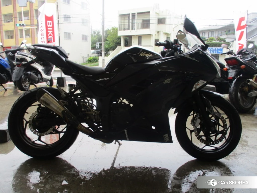 Проданный Kawasaki NINJA 250 2016 из Японии