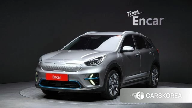Kia Niro EV 2021 Серый из Кореи