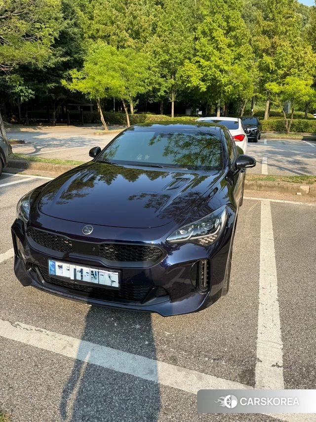 Kia Stinger 2019 Синий из Кореи