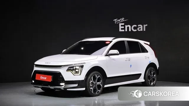 Kia Di Ol Nu Niro 2022 Белый из Кореи